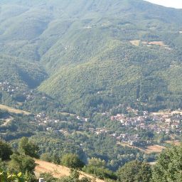 Comune